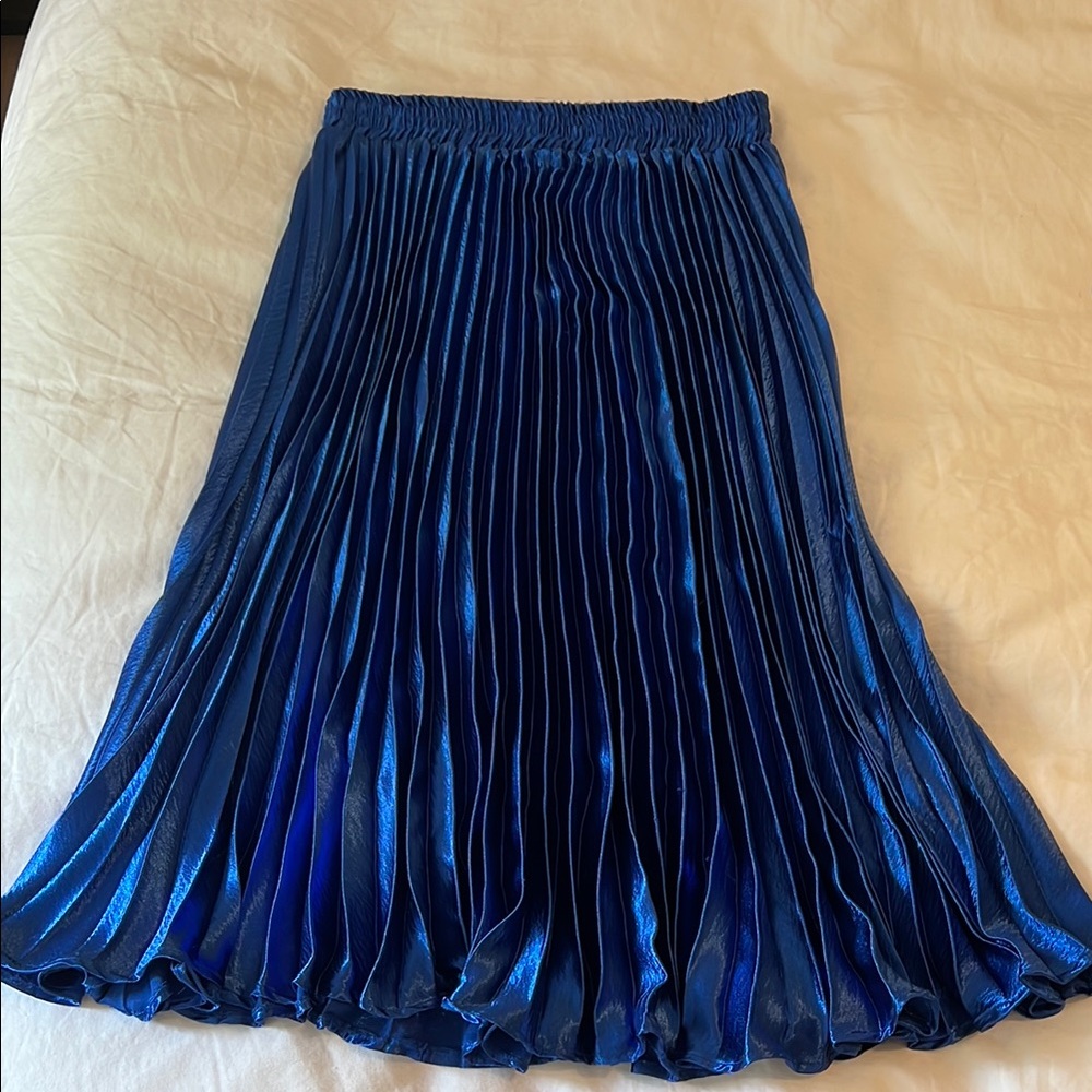 Anthropologie Blue Midi A-Line Pleated Skirt